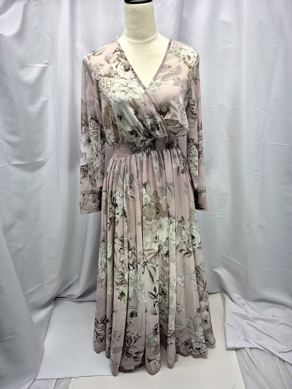 NWOT Alexa B Nites Pink Floral Chiffon Maxi Dress Size 4 Sheer Lined Whimsy Fair